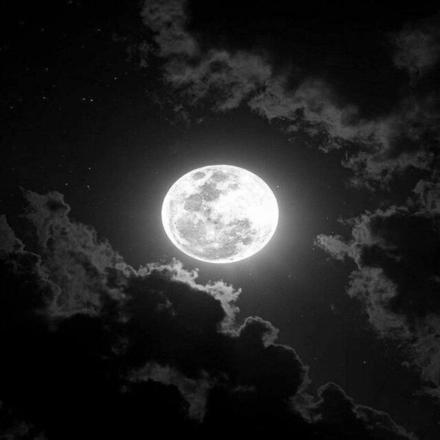 this night