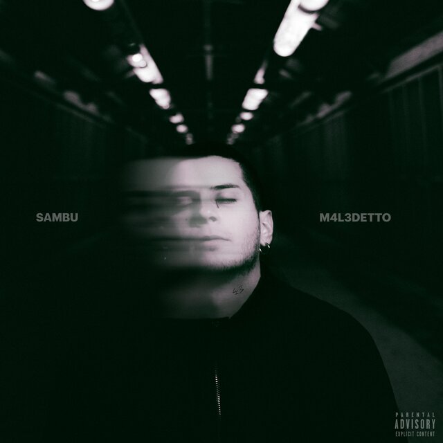 M4L3DETTO