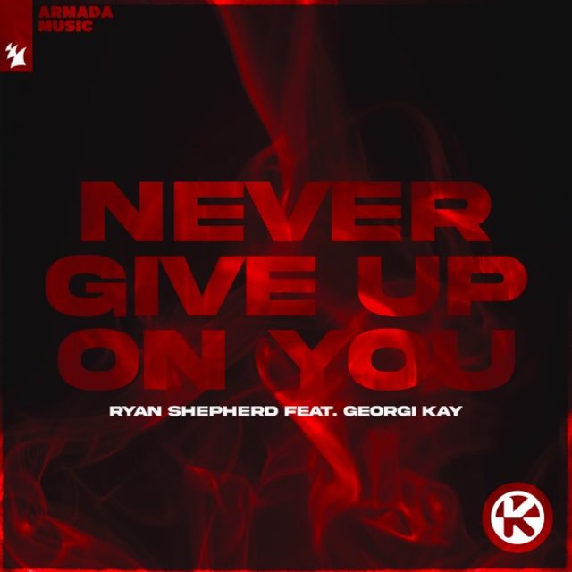 Never Give up on You