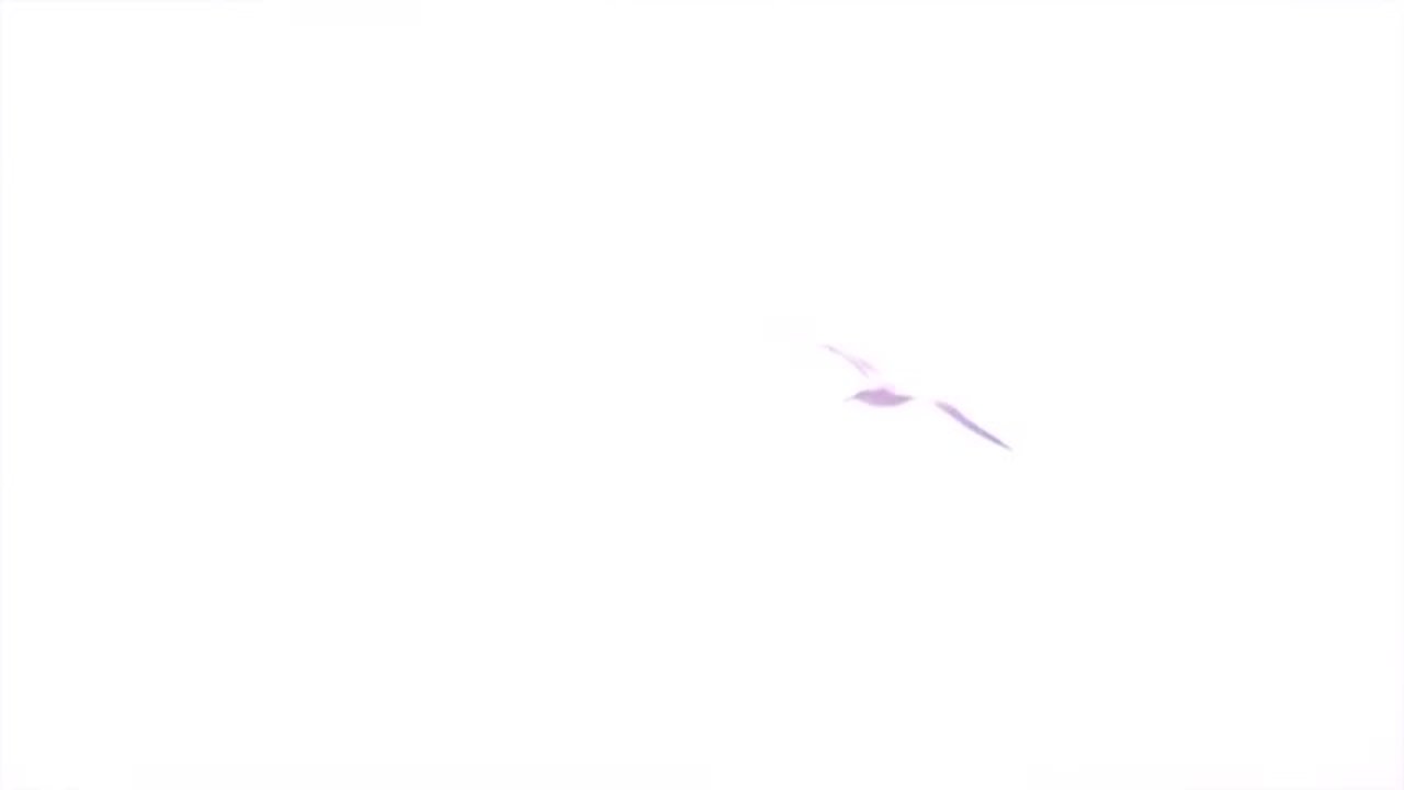Remember (Part 2)