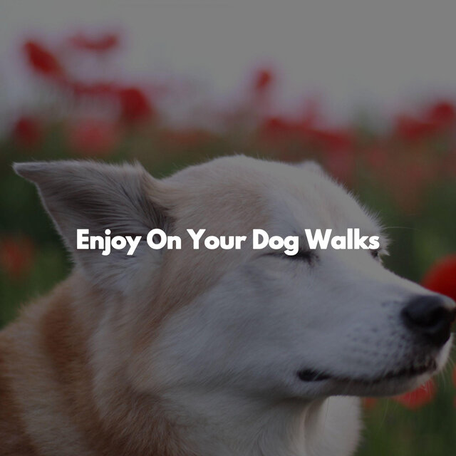 Enjoy On Your Dog Walks