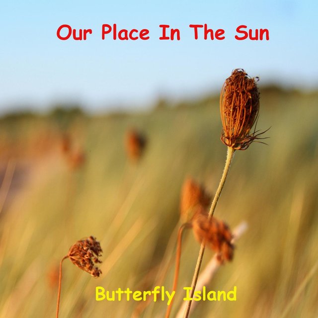 Our Place in the Sun