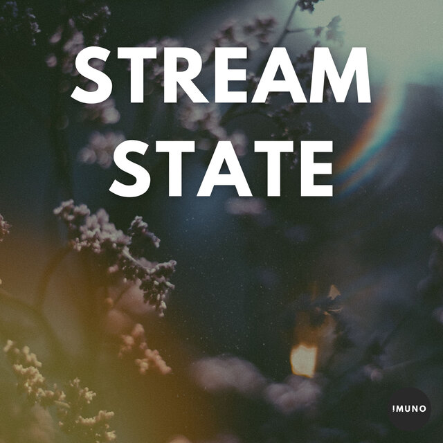 Stream State