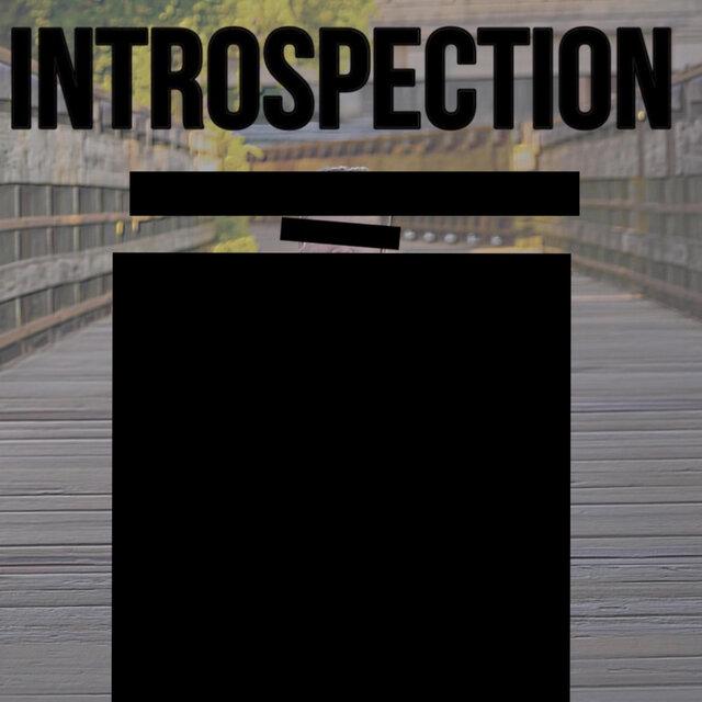 Introspection