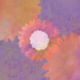 The Eternal Flowers