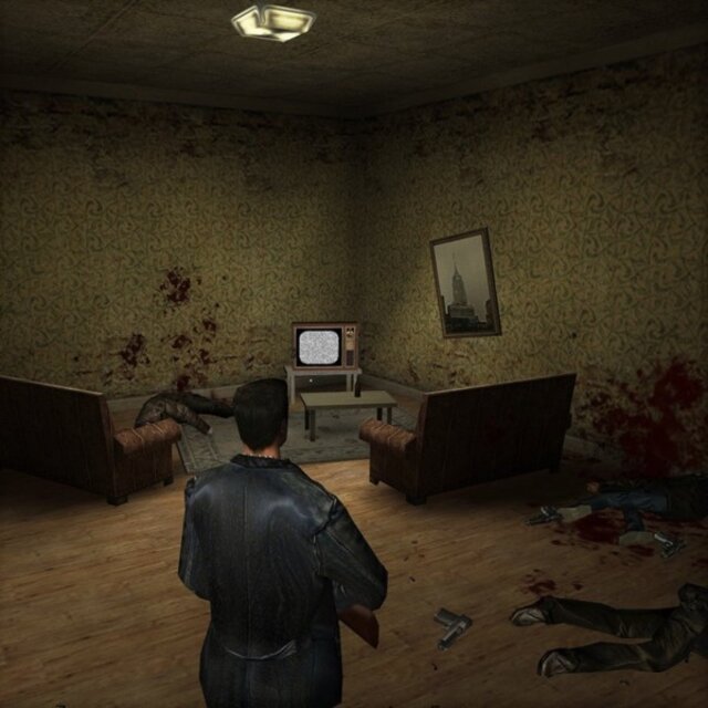 Ролевая игра живого действия