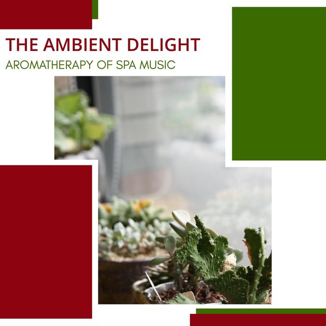 The Ambient Delight - Aromatherapy Of Spa Music