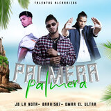 Palmera