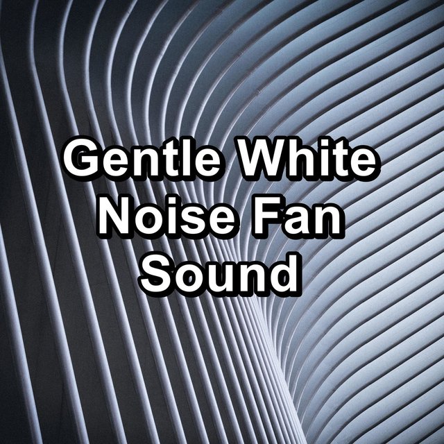 Gentle White Noise Fan Sound