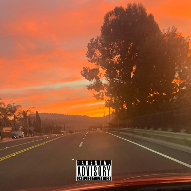 The Trip