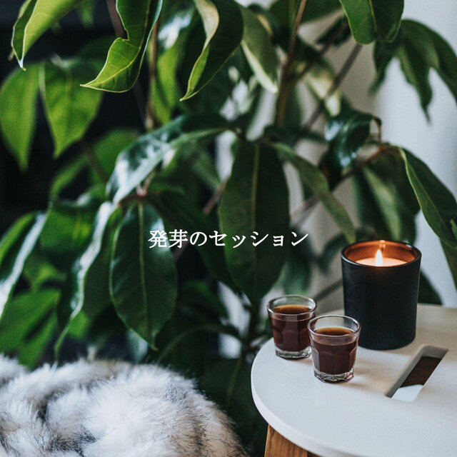 発芽のセッション
