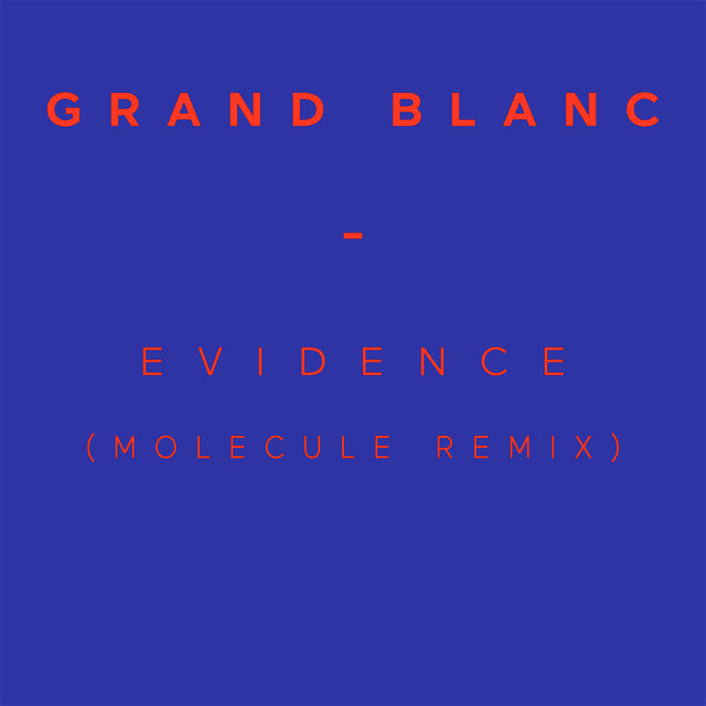 Evidence (Molecule Remix)