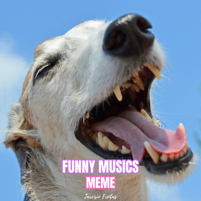 Funny Musics Meme