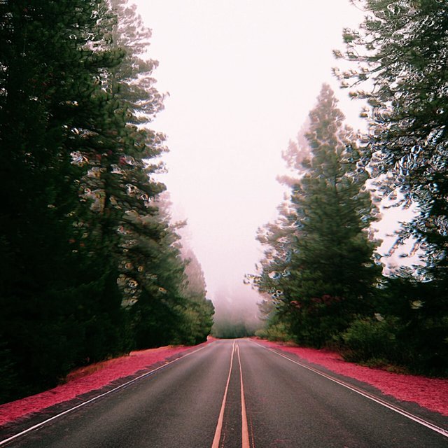 Road to Nowhere