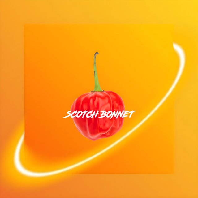 Scotch Bonnet