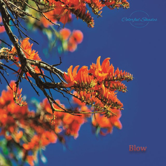 Blow