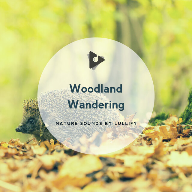 Woodland Wandering