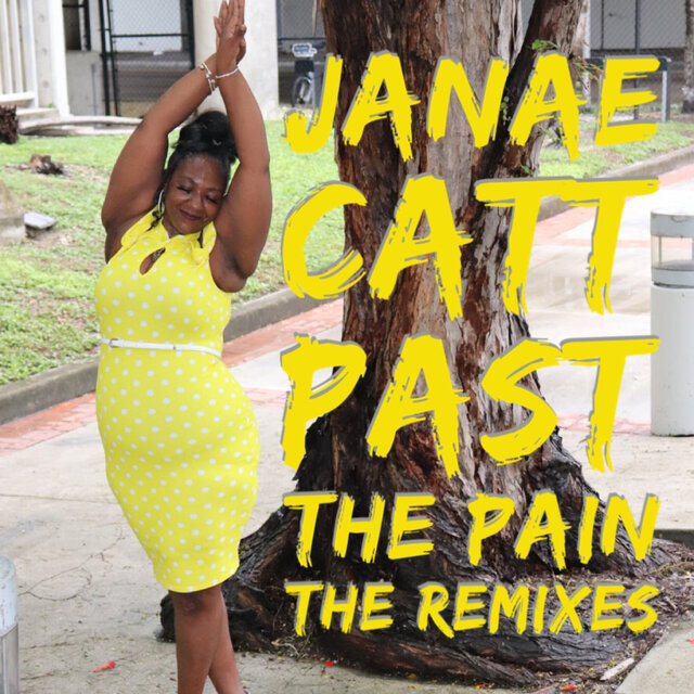 Past the Pain: the Remixes
