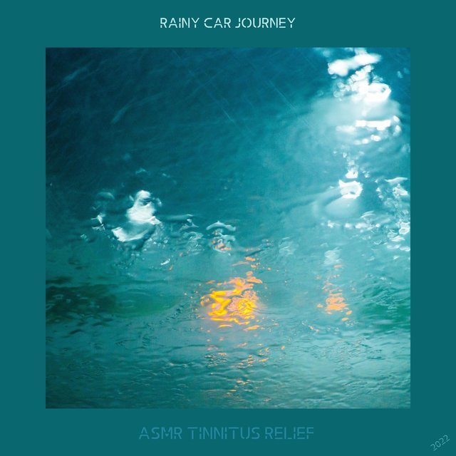 Rainy Car Journey