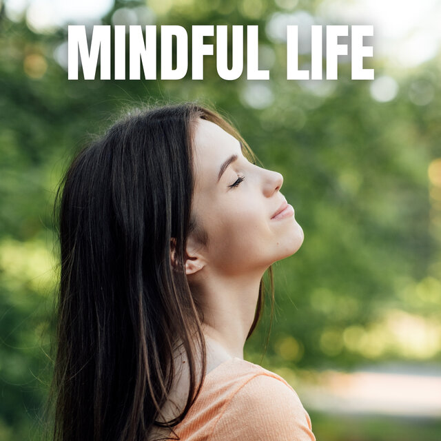 Mindful Life
