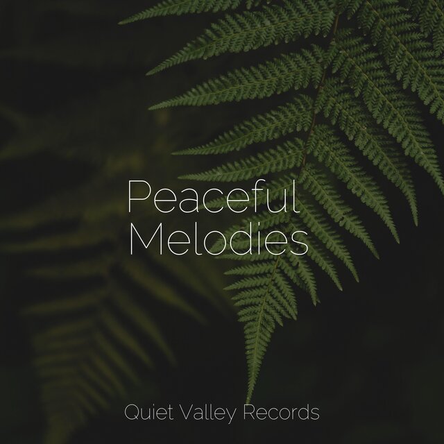 Peaceful Melodies