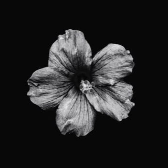 In Love Drunk (Club Mix)