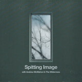 Spitting Image (with Andrew McMahon in the Wilderness)