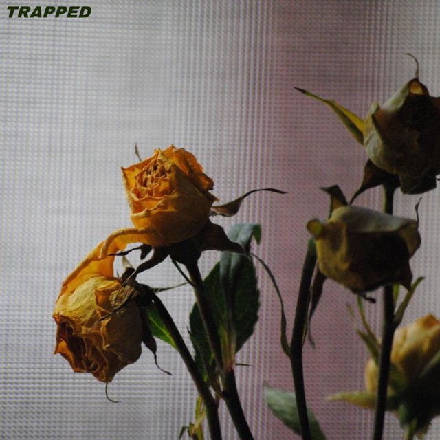 Trapped