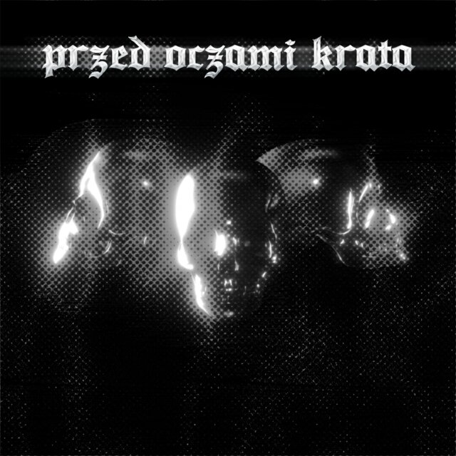 Przed oczami krata