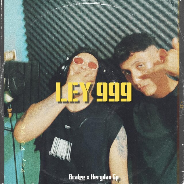 Ley 999 (feat. BCALEE)