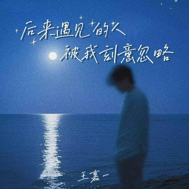 后来遇见的人被我刻意忽略
