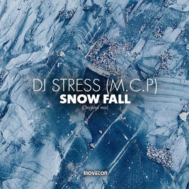 Snow Fall