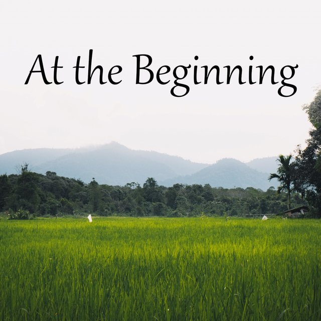 At the Beginning