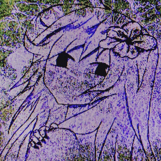 Static Bloom