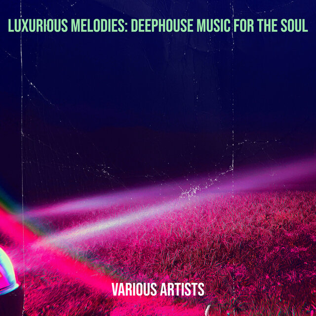 Luxurious Melodies: Deephouse Music for the Soul