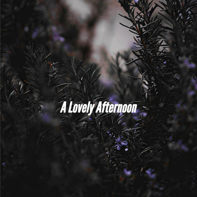 A Lovely Afternoon