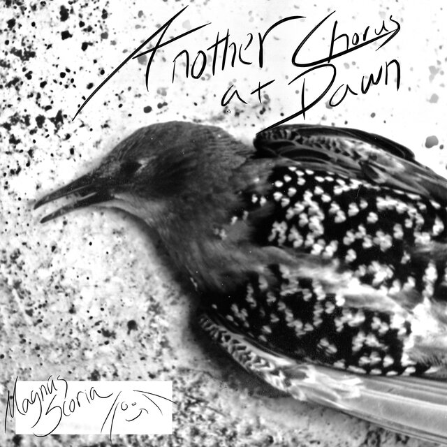Another Chorus at Dawn