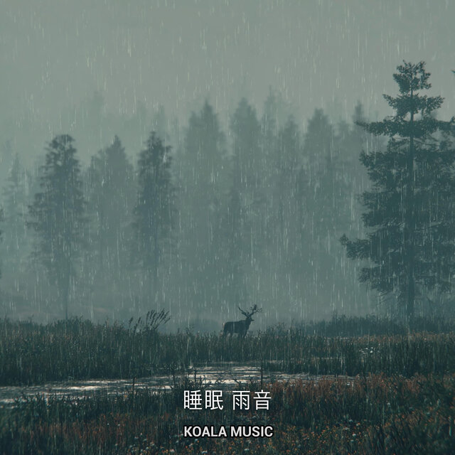 睡眠 雨音