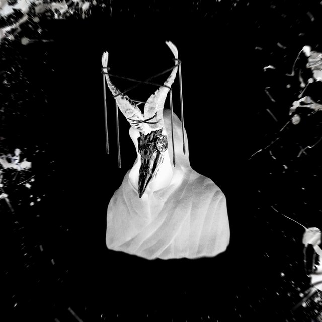SHAMAN