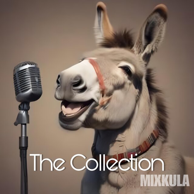 The Slorrie Collection