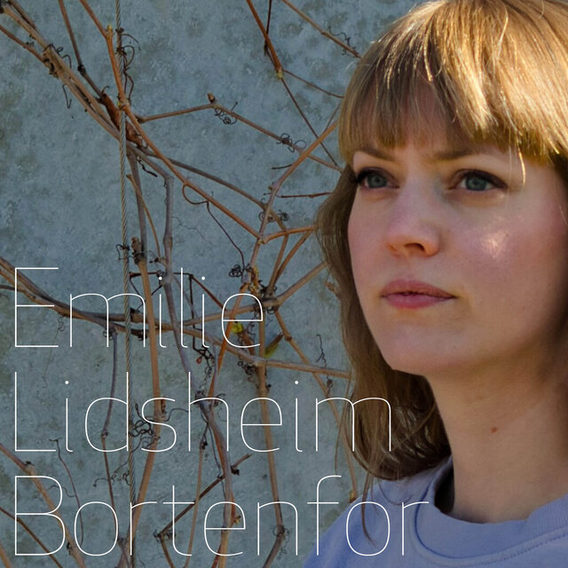 Bortenfor