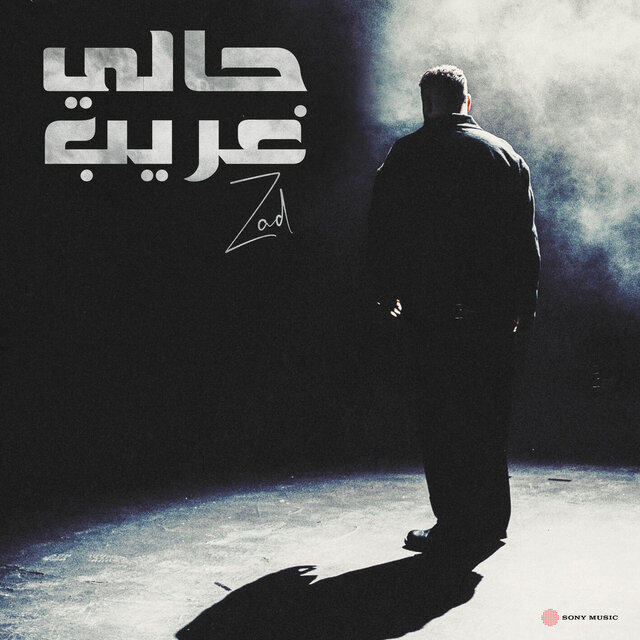 Haly Ghareeb