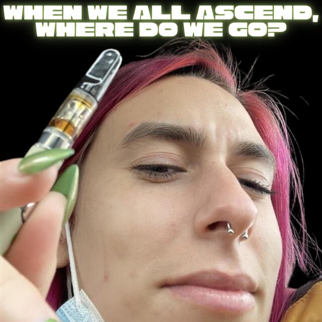 WHEN WE ALL ASCEND, WHERE DO WE GO?
