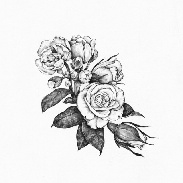 Roses