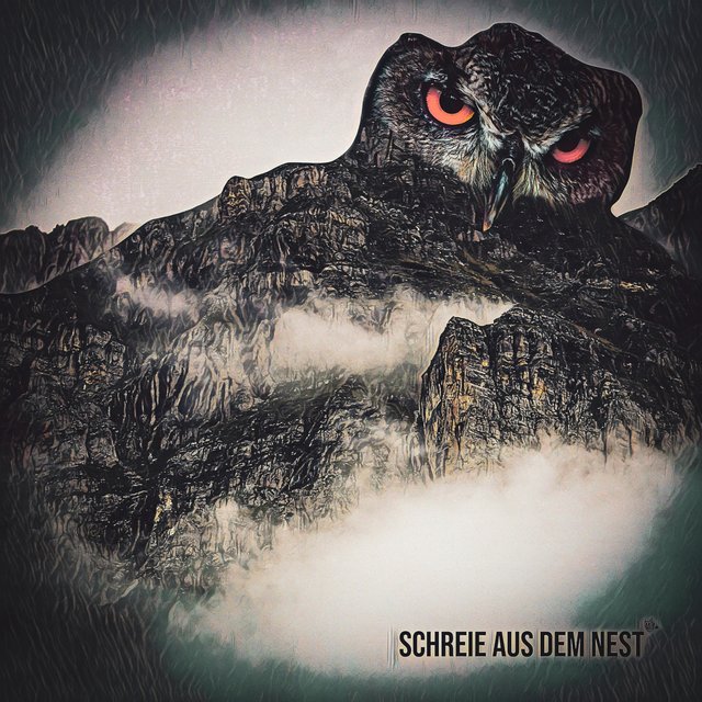 Schreie Aus Dem Nest