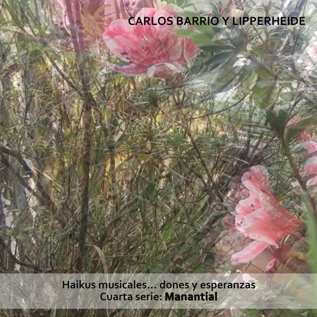 Haikus Musicales Dones y Esperanzas, Cuarta Serie: Manantial
