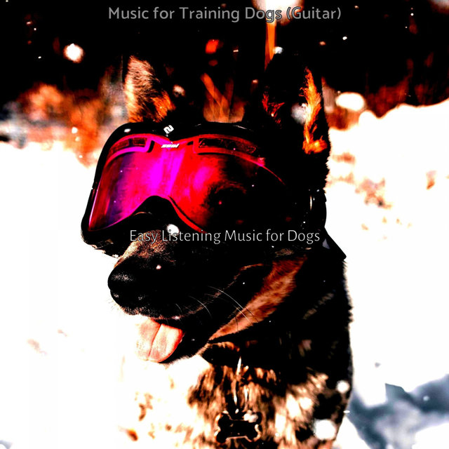 Music for Training Dogs (Guitar)