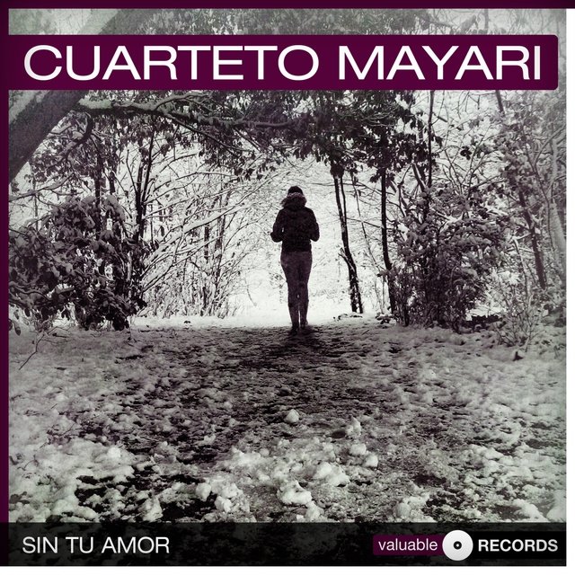Sin Tu Amor