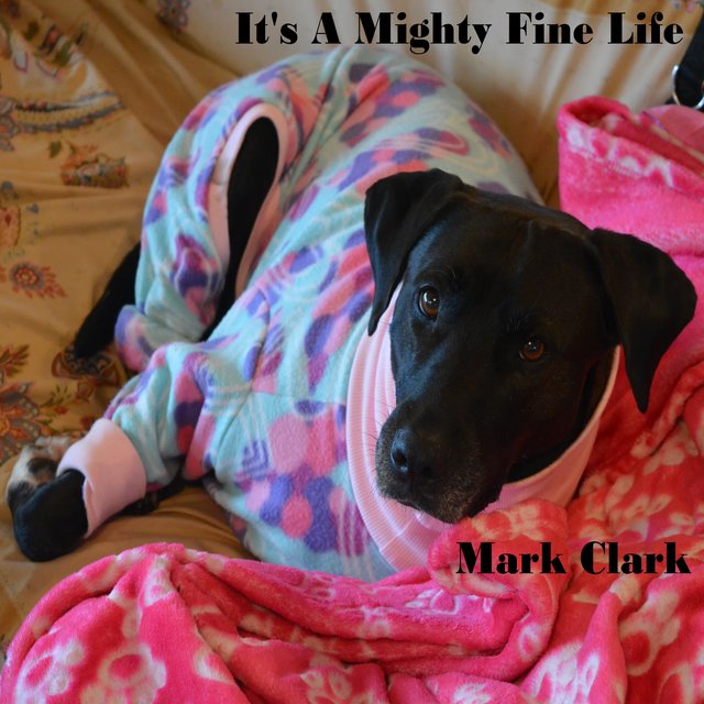 It's a Mighty Fine Life