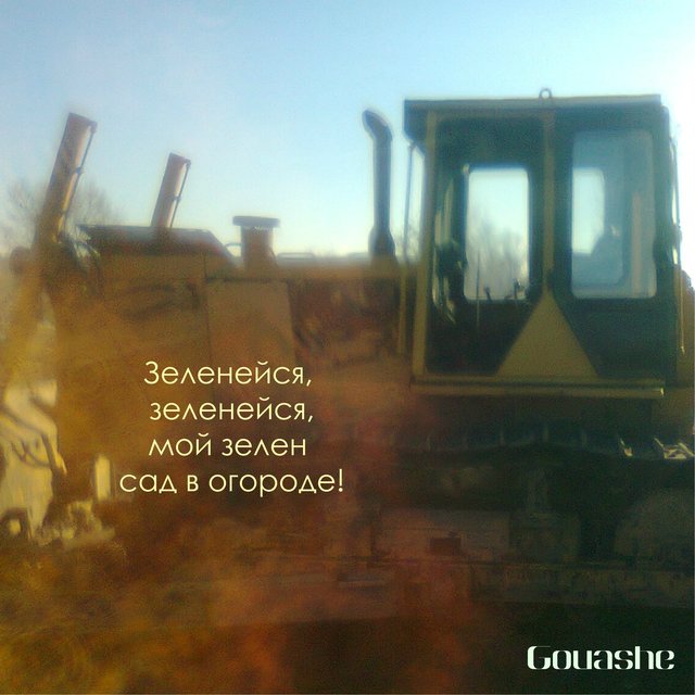 Зеленейся, зеленейся, мой зелен сад в огороде!
